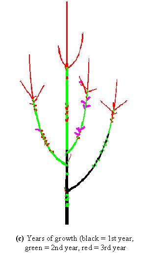 ../_images/fig3_7c.png