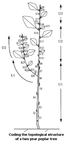 ../_images/fig3_3.png