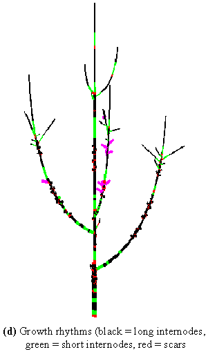 ../_images/fig3_7d.png