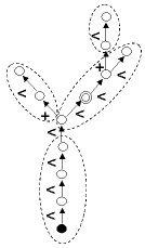 ../_images/mtg_root.png